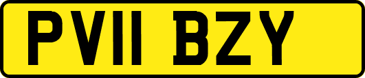PV11BZY