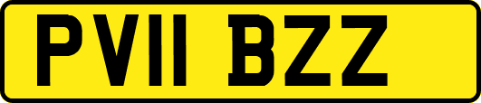 PV11BZZ