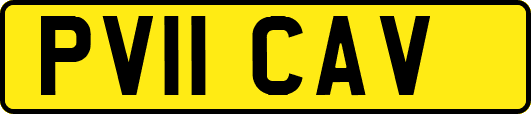 PV11CAV