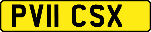PV11CSX