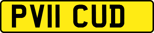 PV11CUD