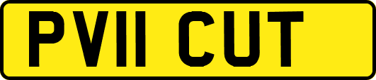 PV11CUT