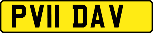 PV11DAV