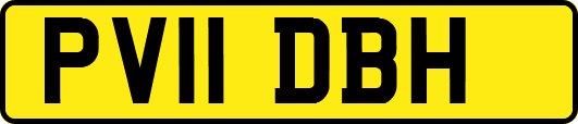 PV11DBH