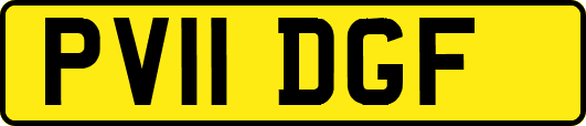 PV11DGF
