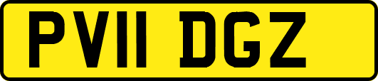 PV11DGZ
