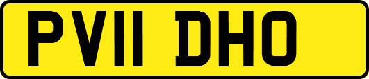 PV11DHO