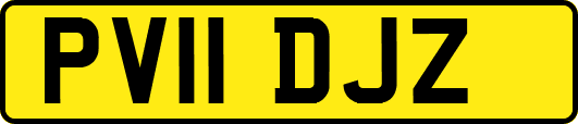 PV11DJZ