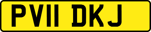 PV11DKJ