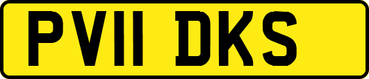 PV11DKS