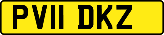 PV11DKZ