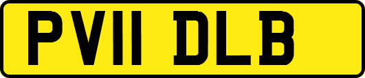 PV11DLB