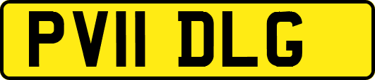 PV11DLG