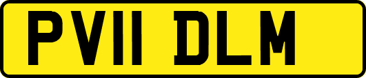 PV11DLM