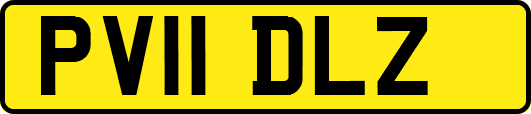 PV11DLZ