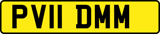 PV11DMM