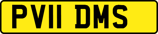 PV11DMS
