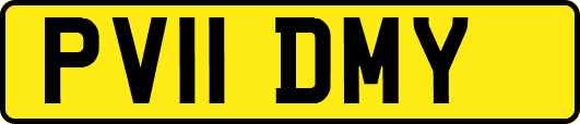 PV11DMY