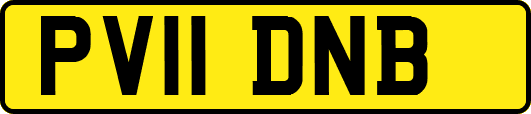 PV11DNB