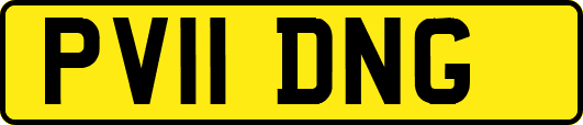 PV11DNG