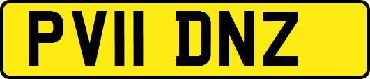 PV11DNZ