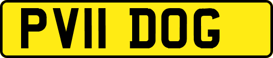 PV11DOG