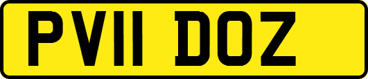 PV11DOZ