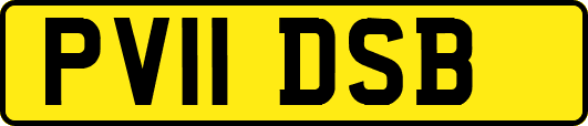 PV11DSB