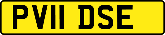 PV11DSE