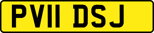 PV11DSJ