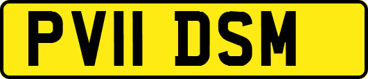 PV11DSM