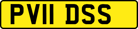 PV11DSS