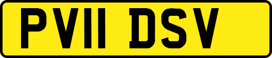 PV11DSV