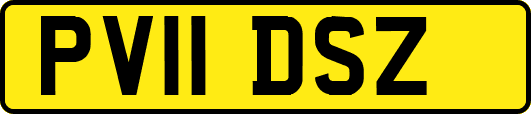 PV11DSZ