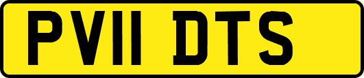 PV11DTS