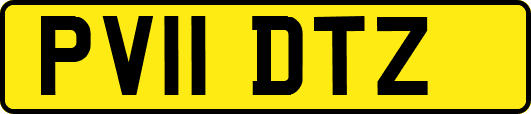 PV11DTZ