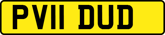 PV11DUD