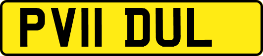 PV11DUL