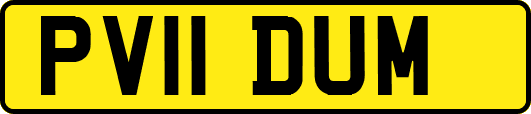 PV11DUM