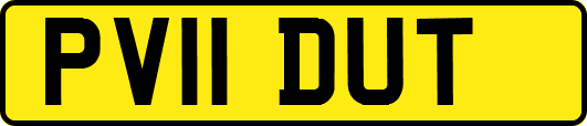 PV11DUT