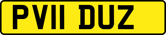 PV11DUZ