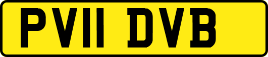 PV11DVB
