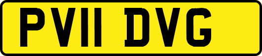 PV11DVG