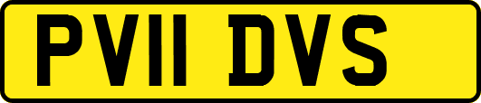PV11DVS