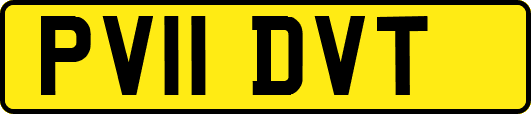 PV11DVT