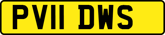 PV11DWS