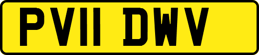 PV11DWV