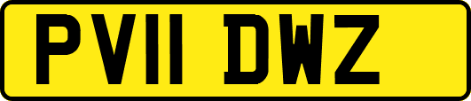 PV11DWZ