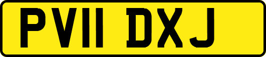 PV11DXJ