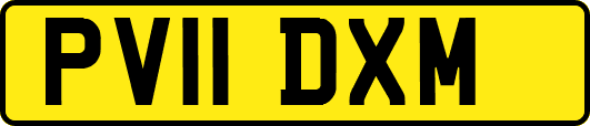 PV11DXM